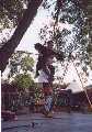 zrope.jpg (3489 bytes)