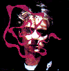 funsp.gif (5529 bytes)