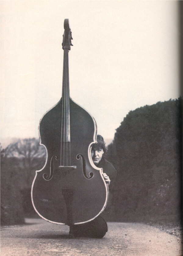 dblbass.JPG (399705 bytes)